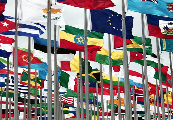 Foreign Language Translation